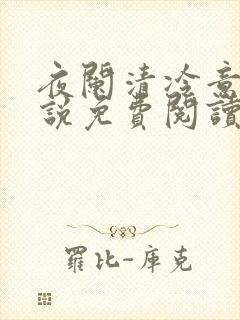 夜阑清冷意欢小说免费阅读