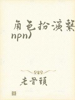 角色扮演系统(npn)