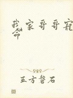 我家哥哥宠妹如命