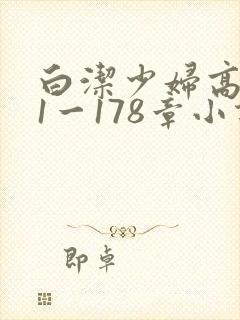 白洁少妇高义第1一178章小说