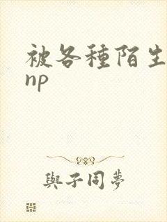 被各种陌生人 np