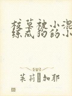 校草被小混混训练成狗的小说封面