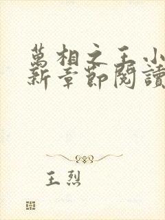 万相之王小说最新章节阅读全文封面