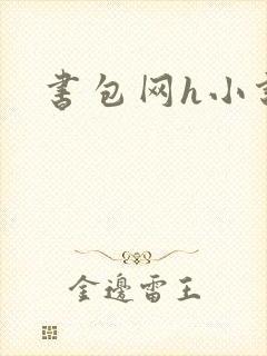 书包网h小说封面