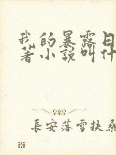 我的暴露日记原著小说叫什么