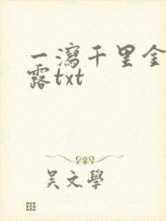 一泻千里金银花露txt