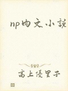 np肉文小说