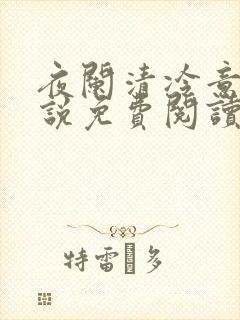 夜阑清冷意欢小说免费阅读封面