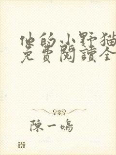 他的小野猫小说免费阅读全文