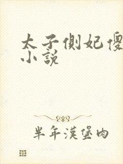 太子侧妃傻乎乎小说