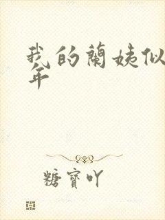 我的兰姨似水流年封面