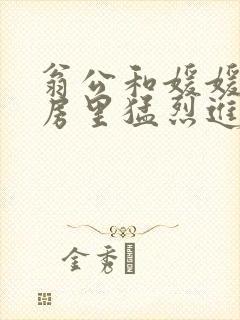 翁公和媛媛在厨房里猛烈进出