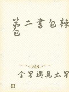 第二书包辣荷花包封面