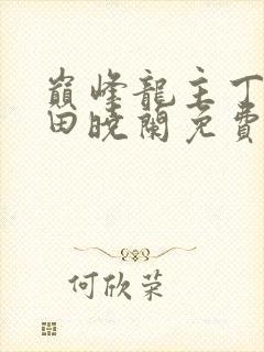 巅峰龙主丁长顺田晓兰免费阅读