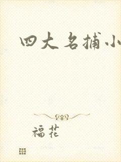 四大名捕小说