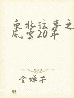 东北往事之黑道风云20年封面