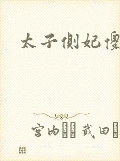 太子侧妃傻乎乎