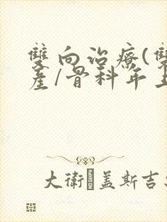 双向治疗(双/产/骨科年上)