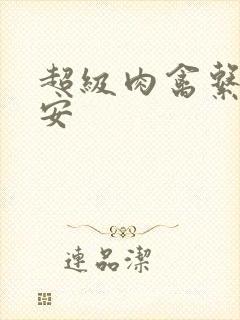 超级肉禽系统保安封面