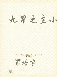 九星之主小说