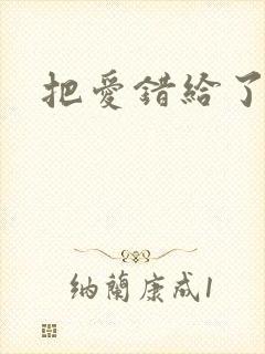 把爱错给了你