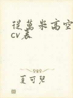 从万米高空降临cv表