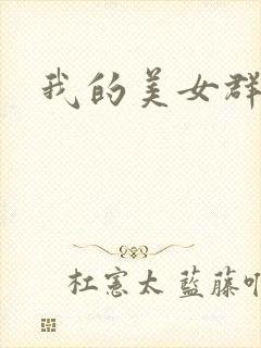我的美女群芳封面