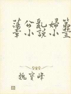 荡公乱妇第51章小说小莹