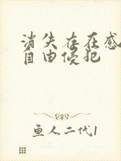 消失存在感消失自由侵犯