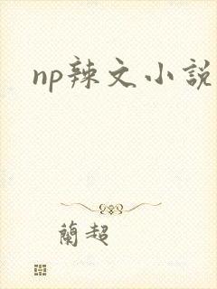 np辣文小说