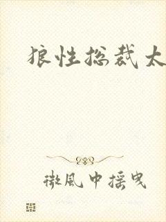 狼性总裁太凶猛