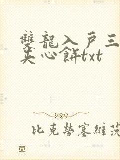 双龙入户三人行夹心饼txt