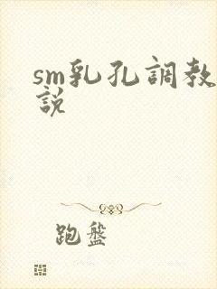 sm乳孔调教小说