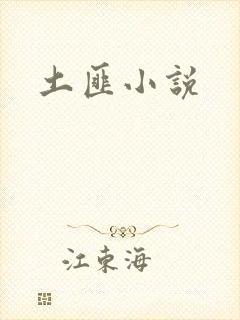 土匪小说