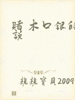赌 木口银的小说封面