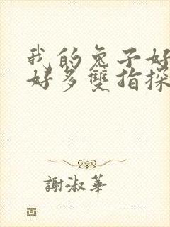 我的兔子好软水好多双指探洞小说封面