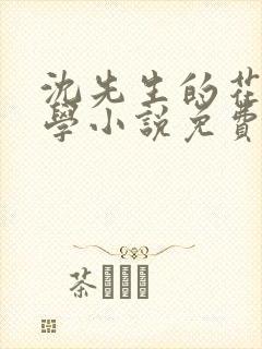 沈先生的花式教学小说免费