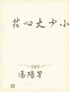花心大少小说