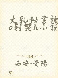 大乳秘书被cao到哭h小说