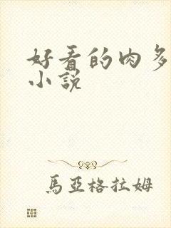 好看的肉多言情小说