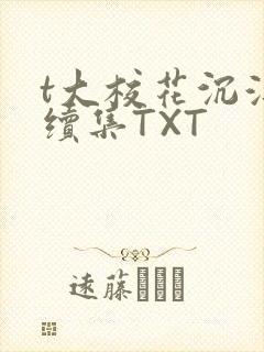 t大校花沉浮录续集TXT