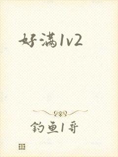 好满1v2