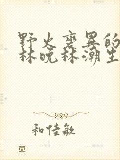 野火变异的父爱林晚林潮生