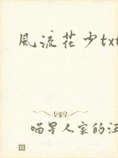 风流花少txt