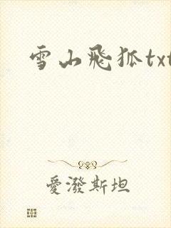 雪山飞狐txt