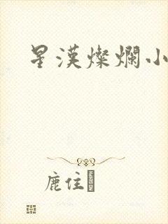 星汉灿烂小说
