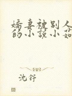 娇妻被别人强干的小说小茹封面