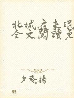 北城夜未眠小说全文阅读免费