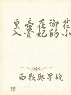 皇帝在御花园进入贵妃的小说