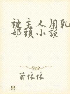 被主人用乳夹玩奶头小说封面